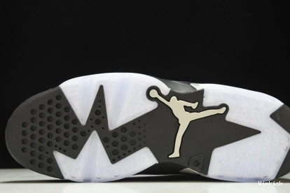 Silver” “Metallic DX2836-001 Jordan Air 6 0723